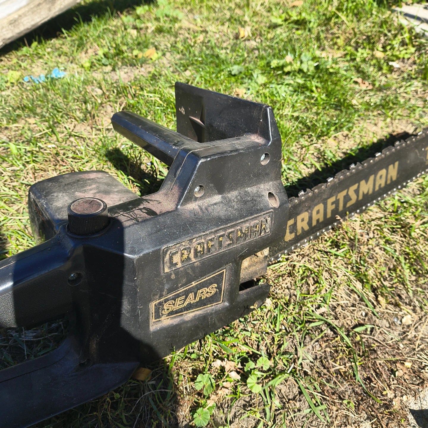 Electric chainsaw