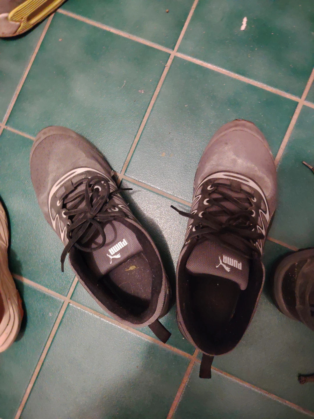Puma Athletic Sneakers