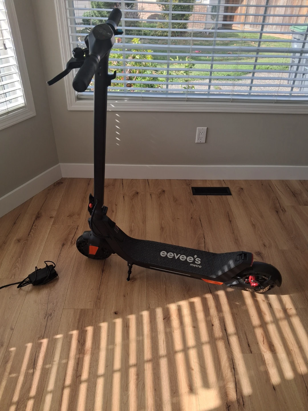 eevee's metro electric scooter