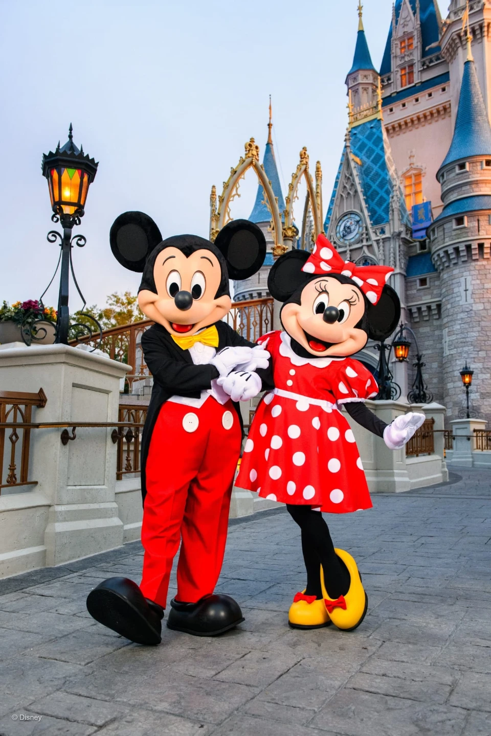 Disney Park tickets/Passes 8 single day adult passes Expire 2030