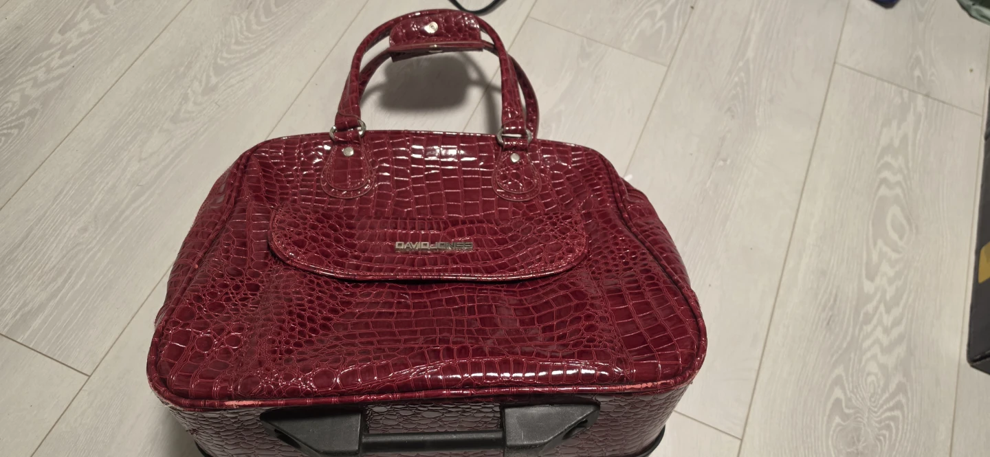 David Jones Rolling Briefcase Bag