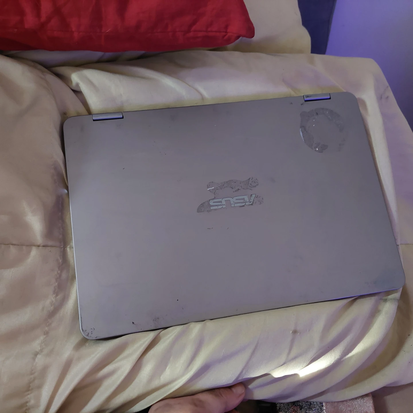 ASUS Celeron Laptop - photo 2