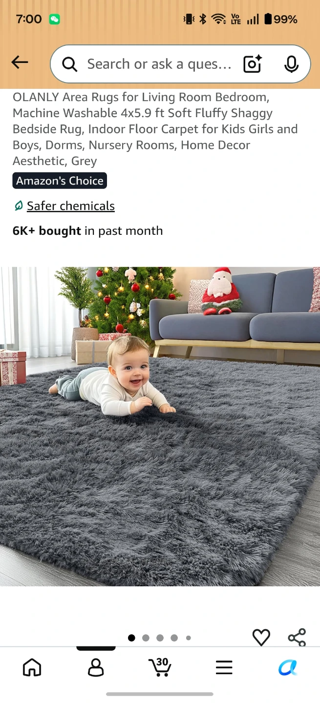 Olanly Shaggy Area Rug, Grey