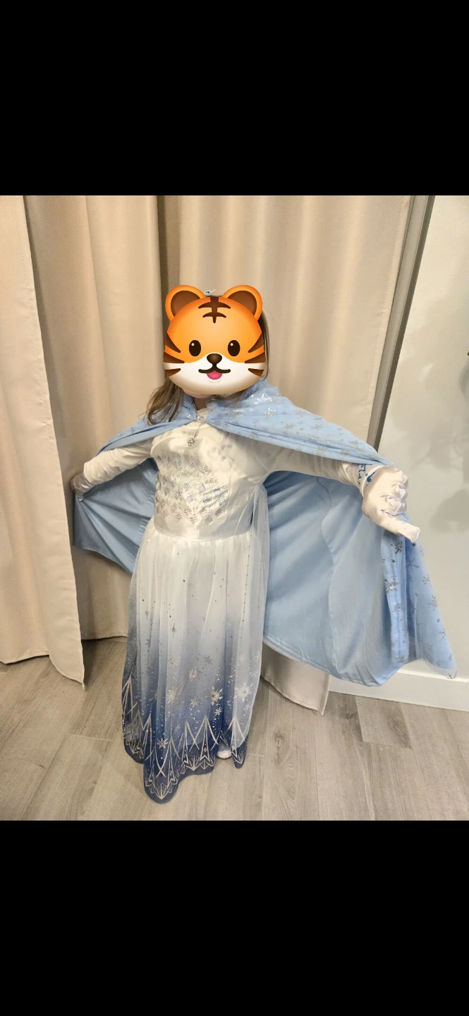 Disney Frozen Elsa Costume - photo 2