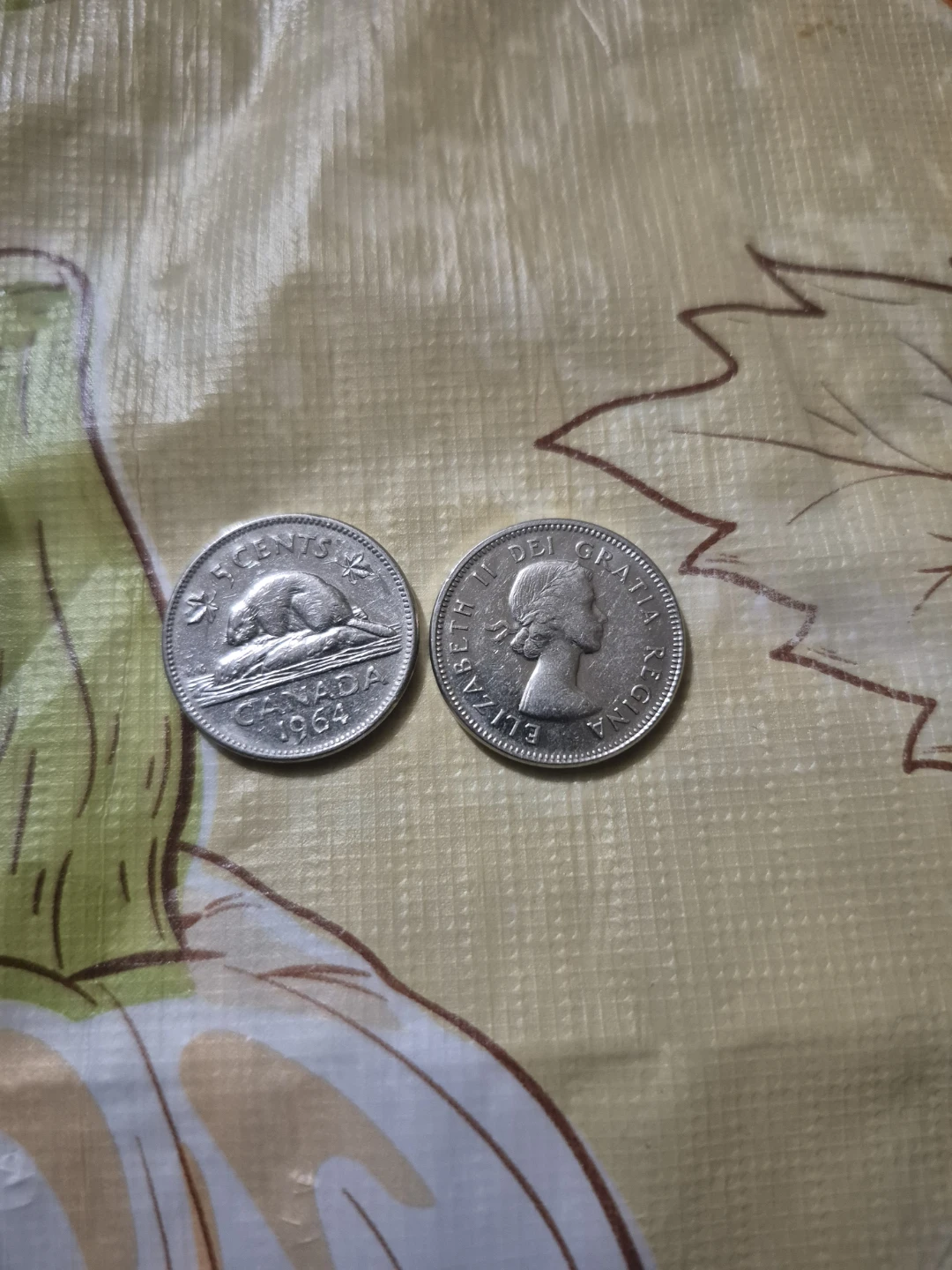 5 Rolls of 1964 Canadian Nickels - photo 5
