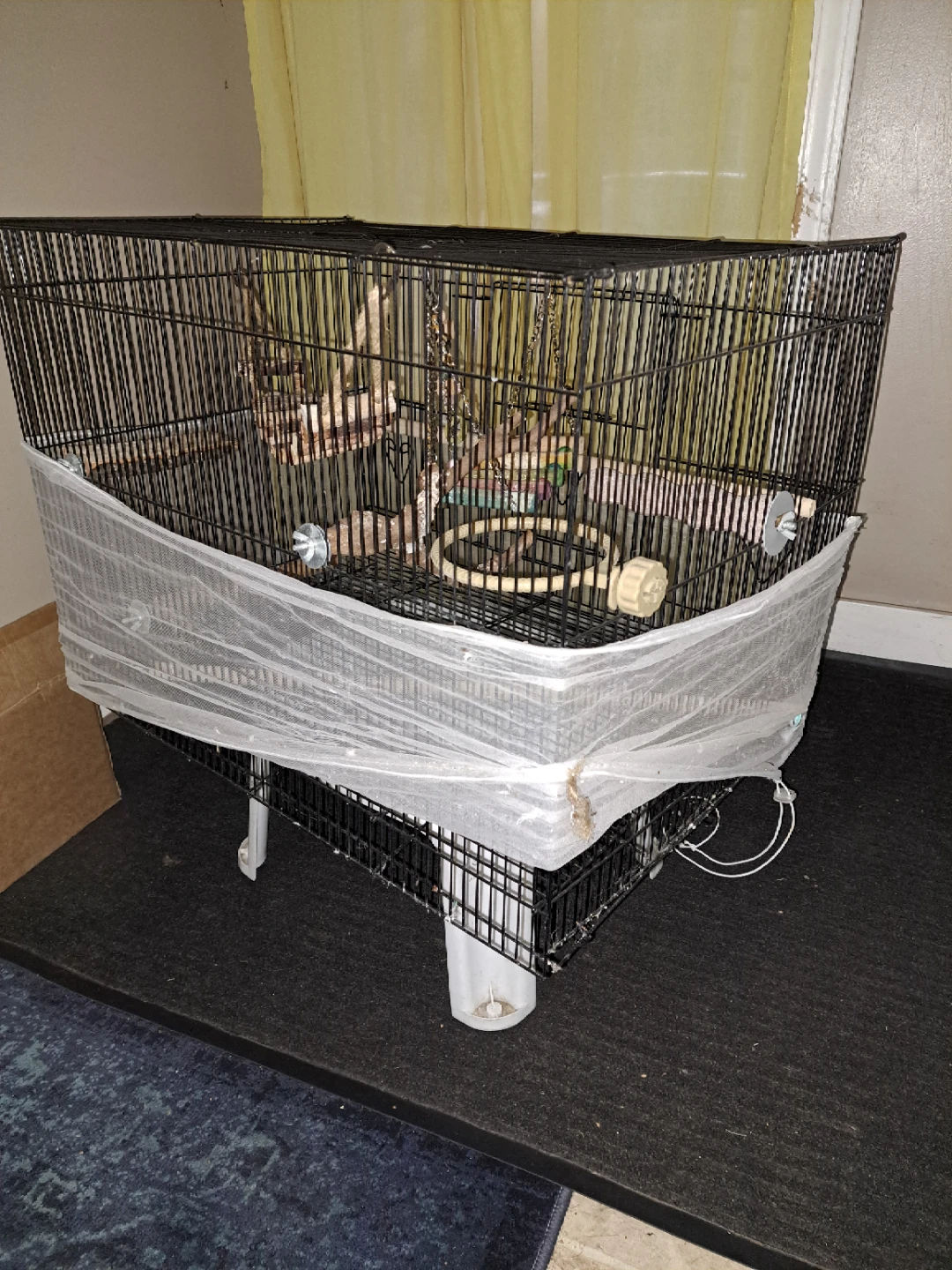 bird cage with perches and toys