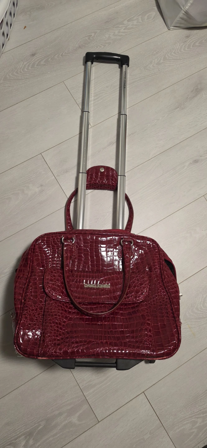 David Jones Rolling Briefcase Bag - photo 5