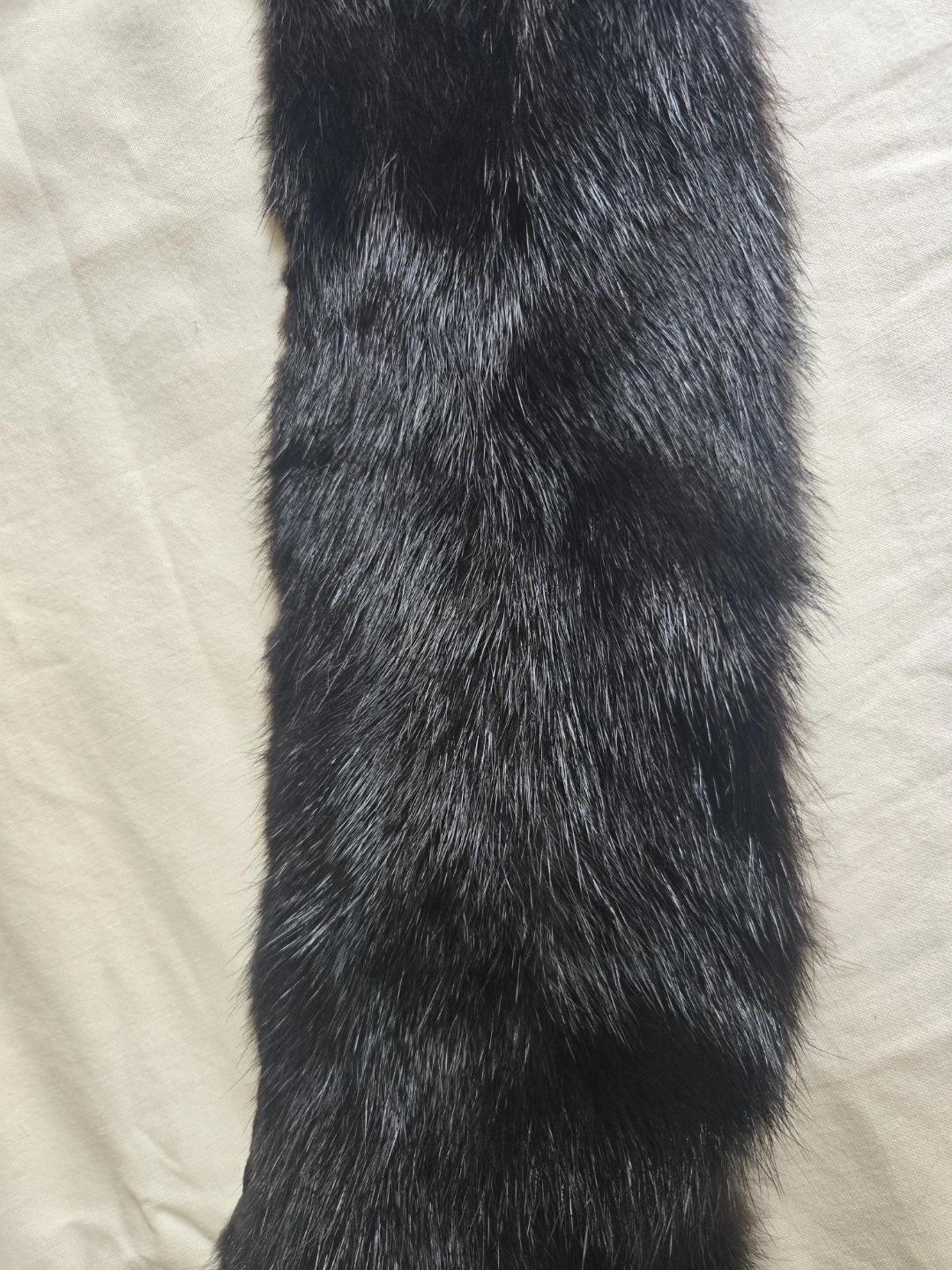 Black Fur Collar (Vintage) - photo 2