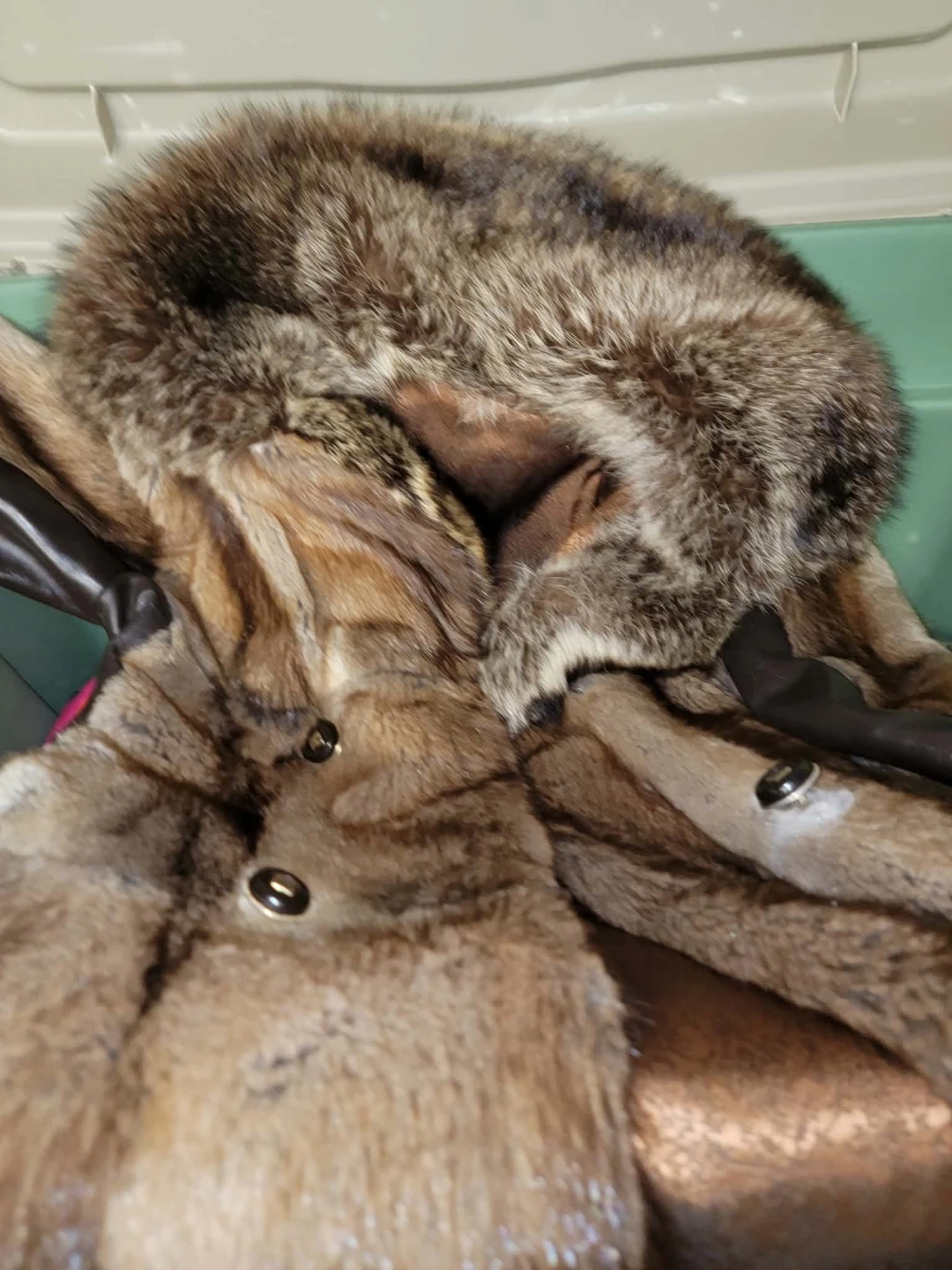Vintage Real Rabbit with Fox Collar Coat - photo 2