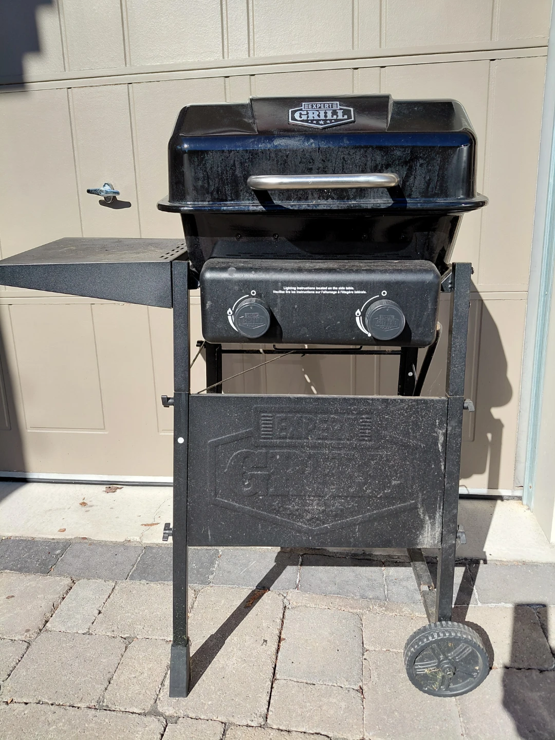 Expert Grill 2-Burner Gas Grill