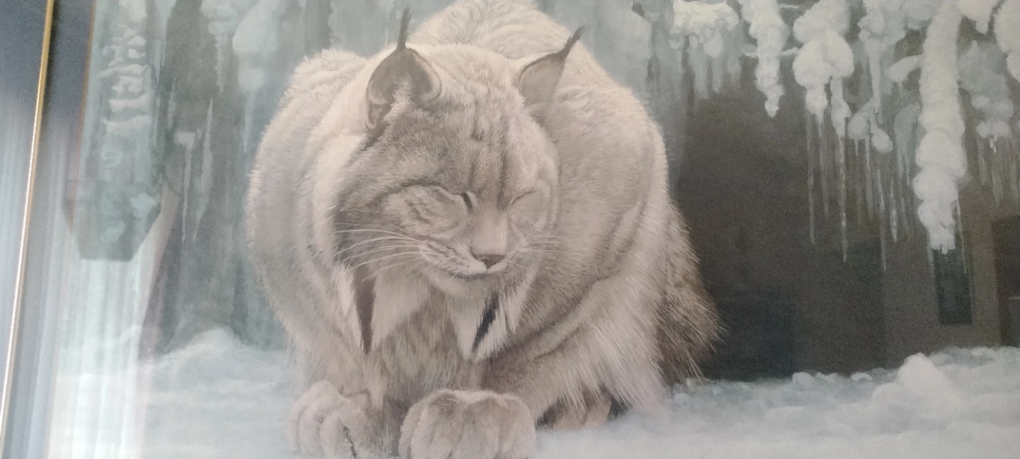 Framed Lynx Print