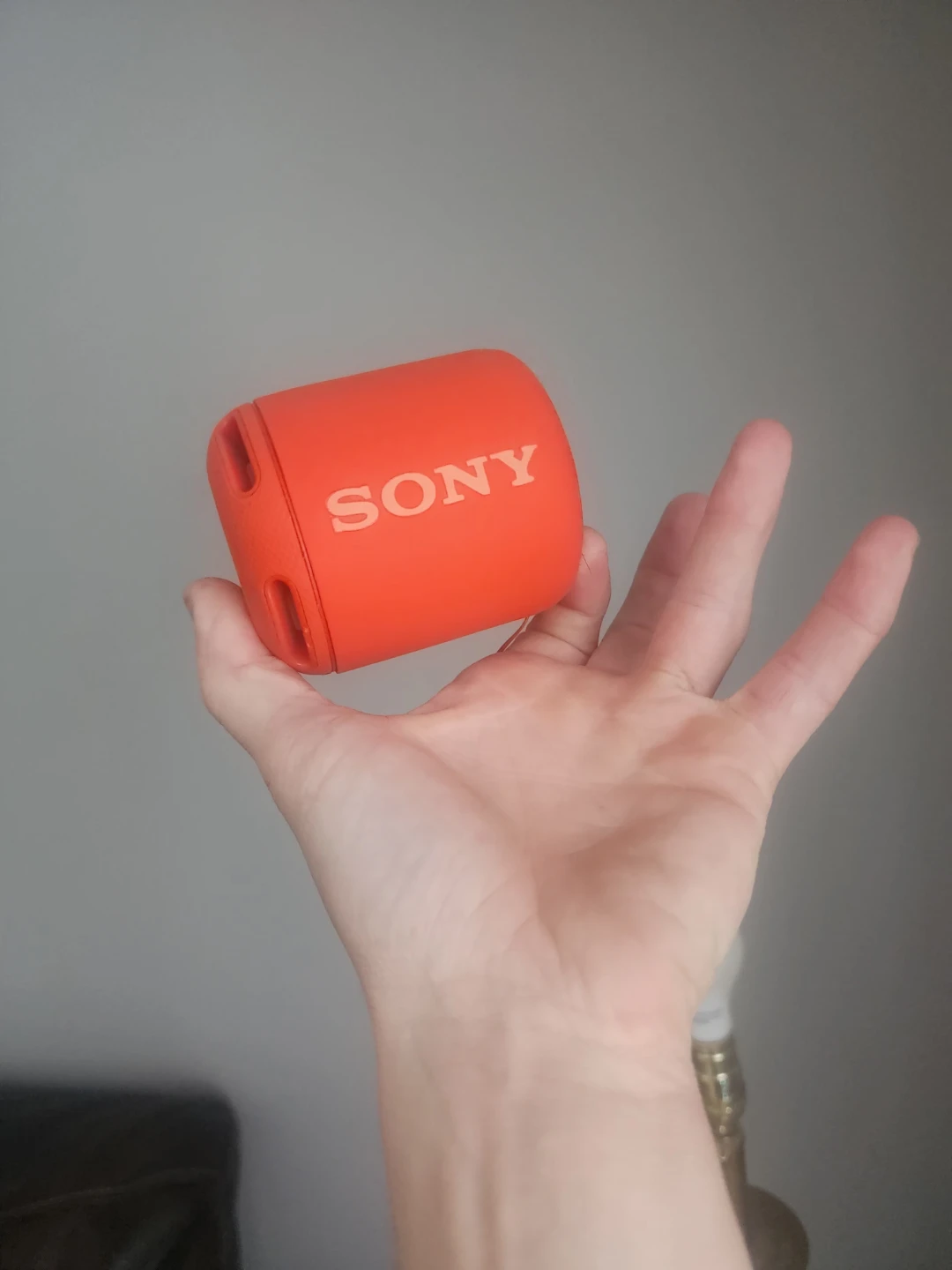 Sony Portable Wireless Speaker