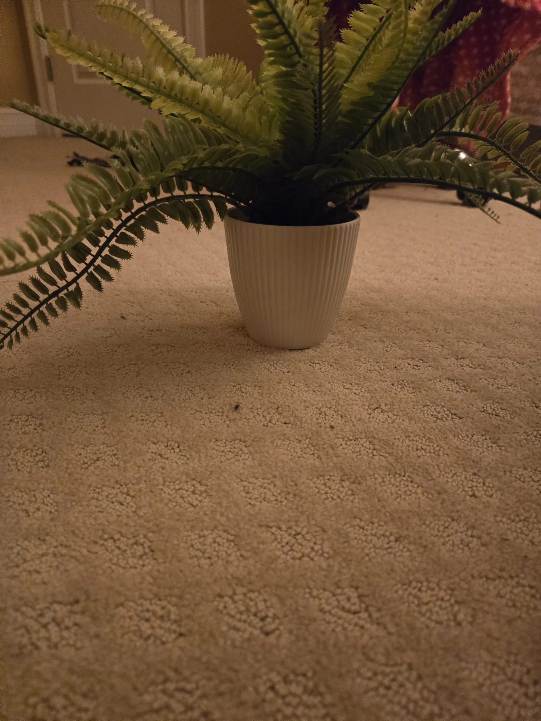 Artificial Fern in Ribbed White Pot