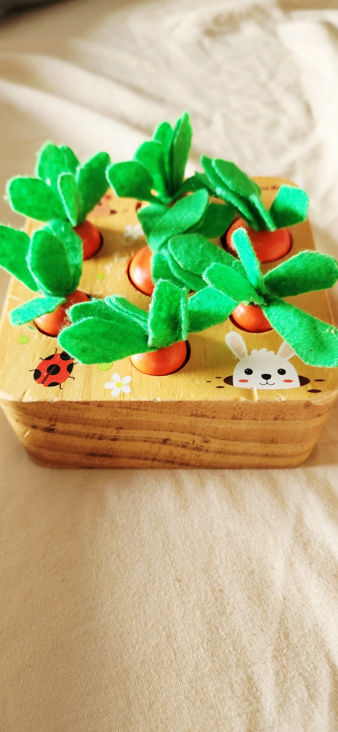 Montessori Carrot Harvest wooden toy
