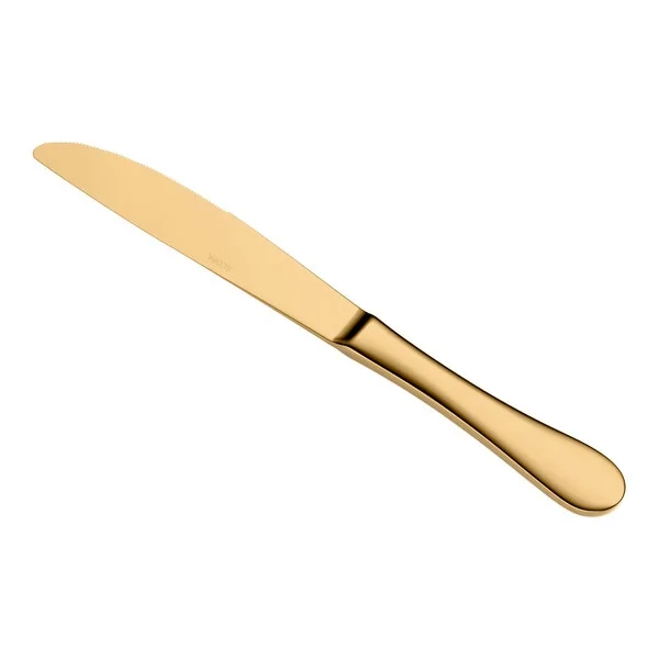 Gold Coloured Table Knife 12pc new