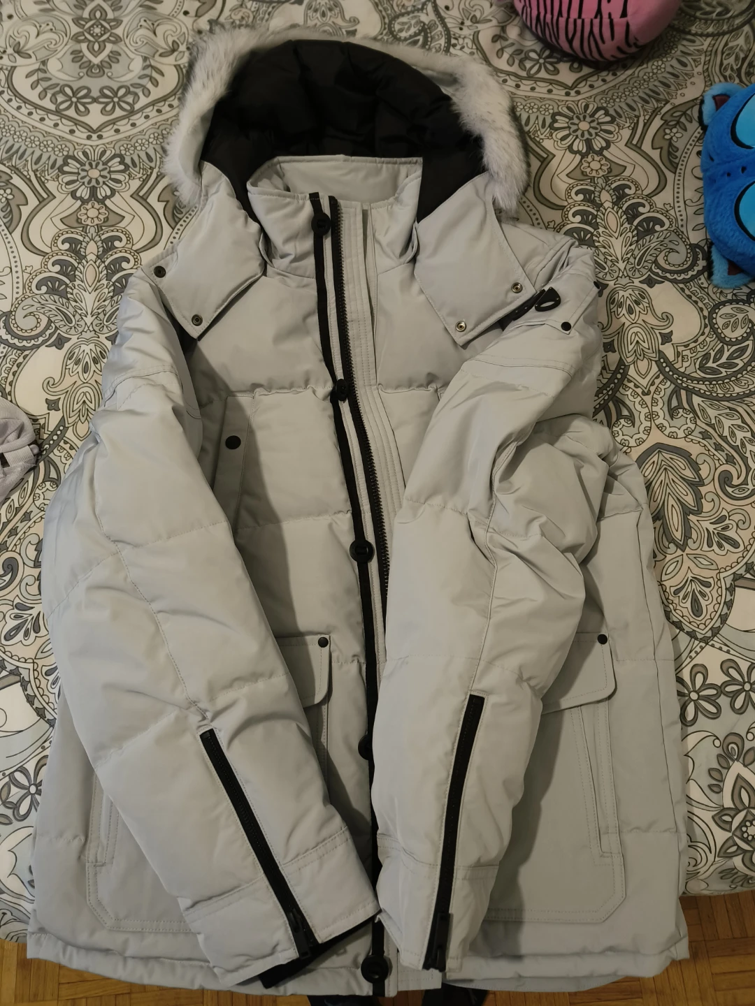Moose Knuckles Winter Jacket - Light Grey