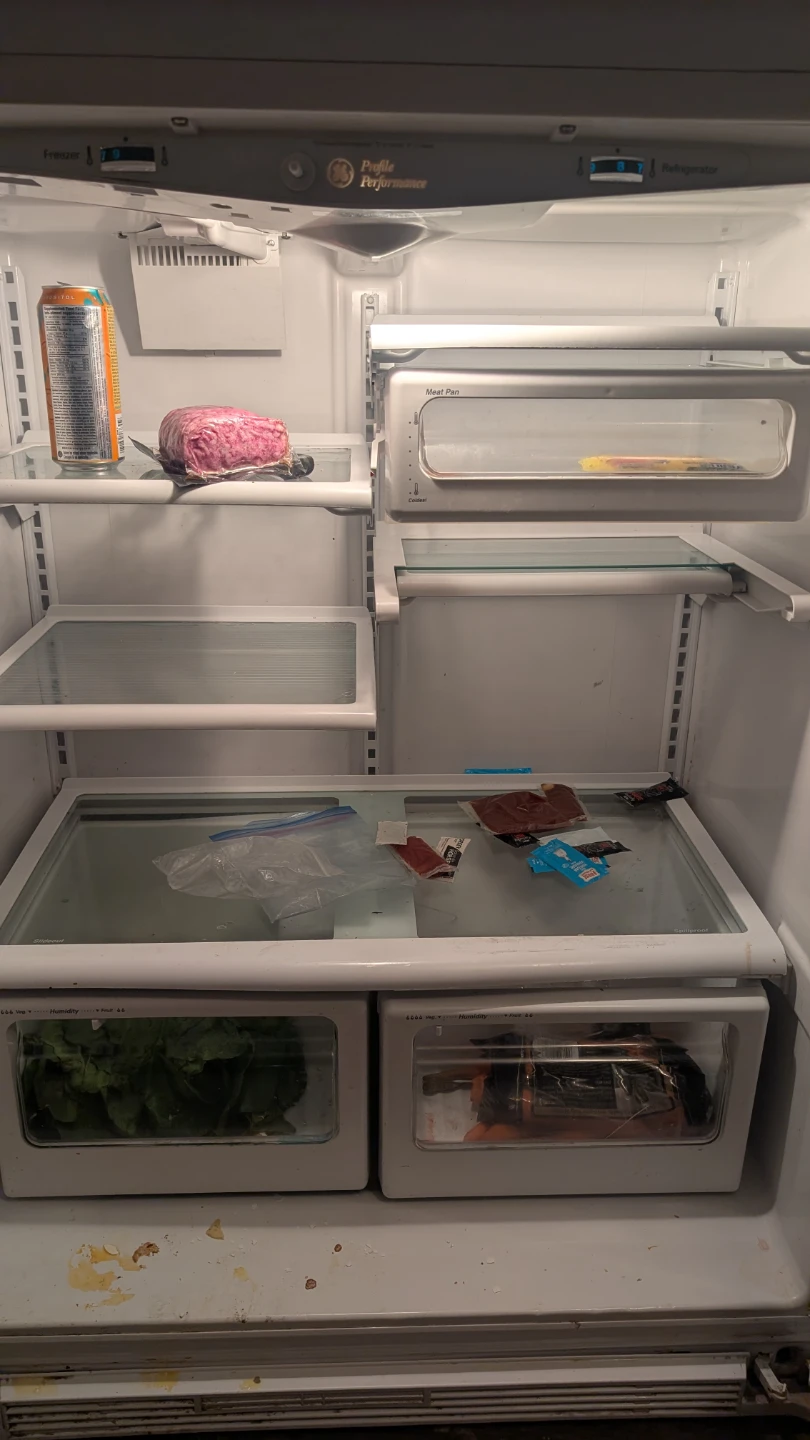 GE Profile Performance Refrigerator - photo 2