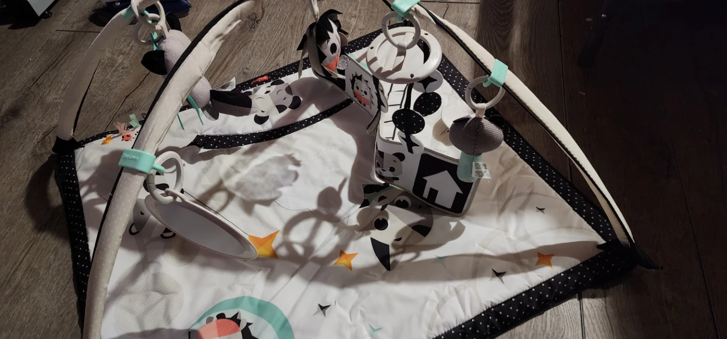 Tiny Love Baby Activity Gym - photo 3