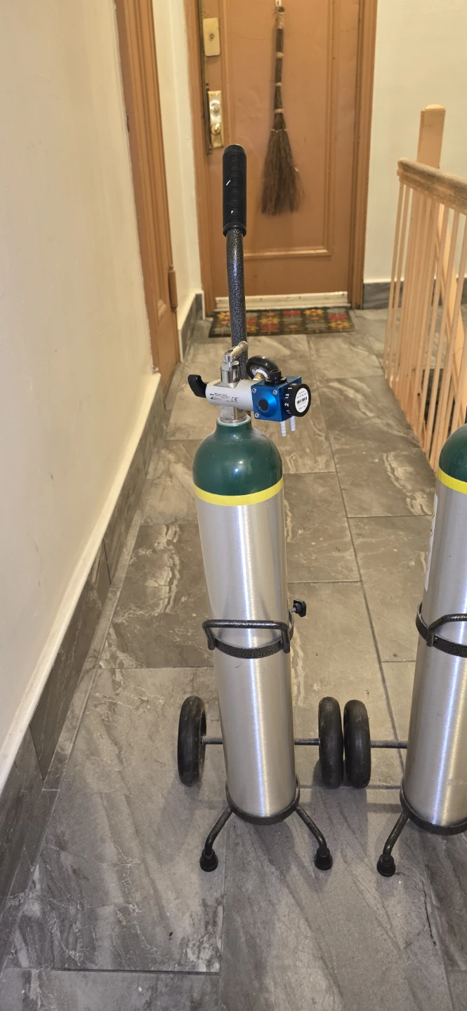 Two Portable Oxygen Tank Carts - photo 2