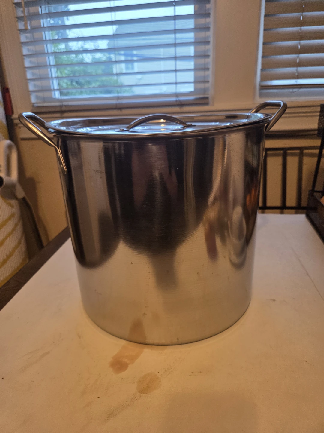 Large Stainless Steel Stock Pot with Lid
