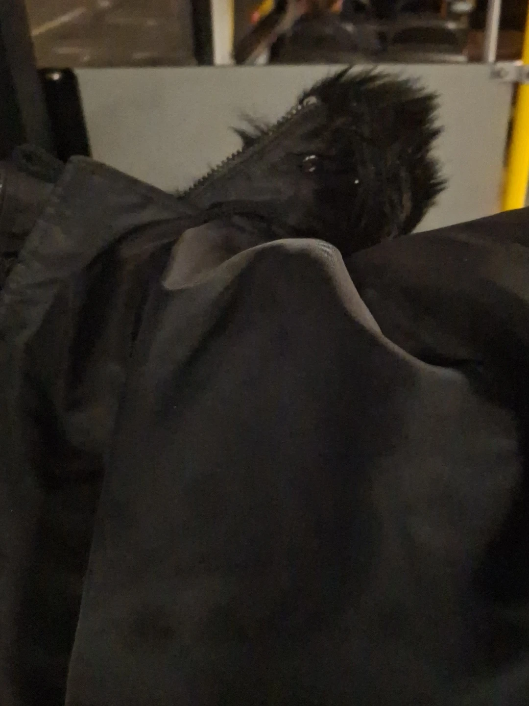 HUGO Black Winter Jacket