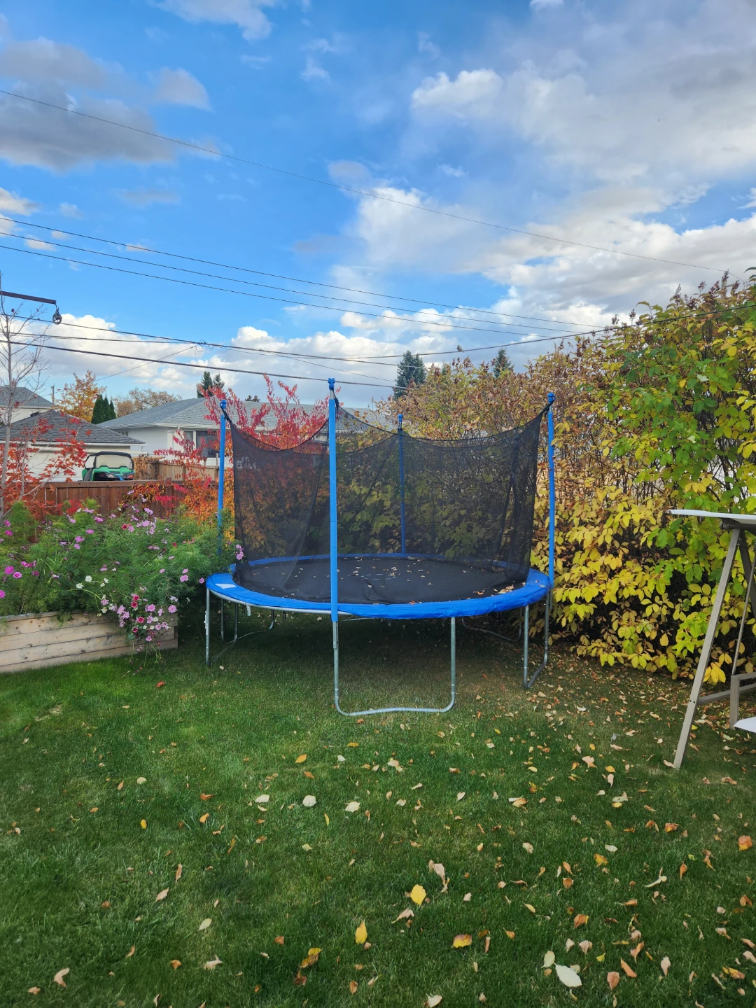 Trampoline