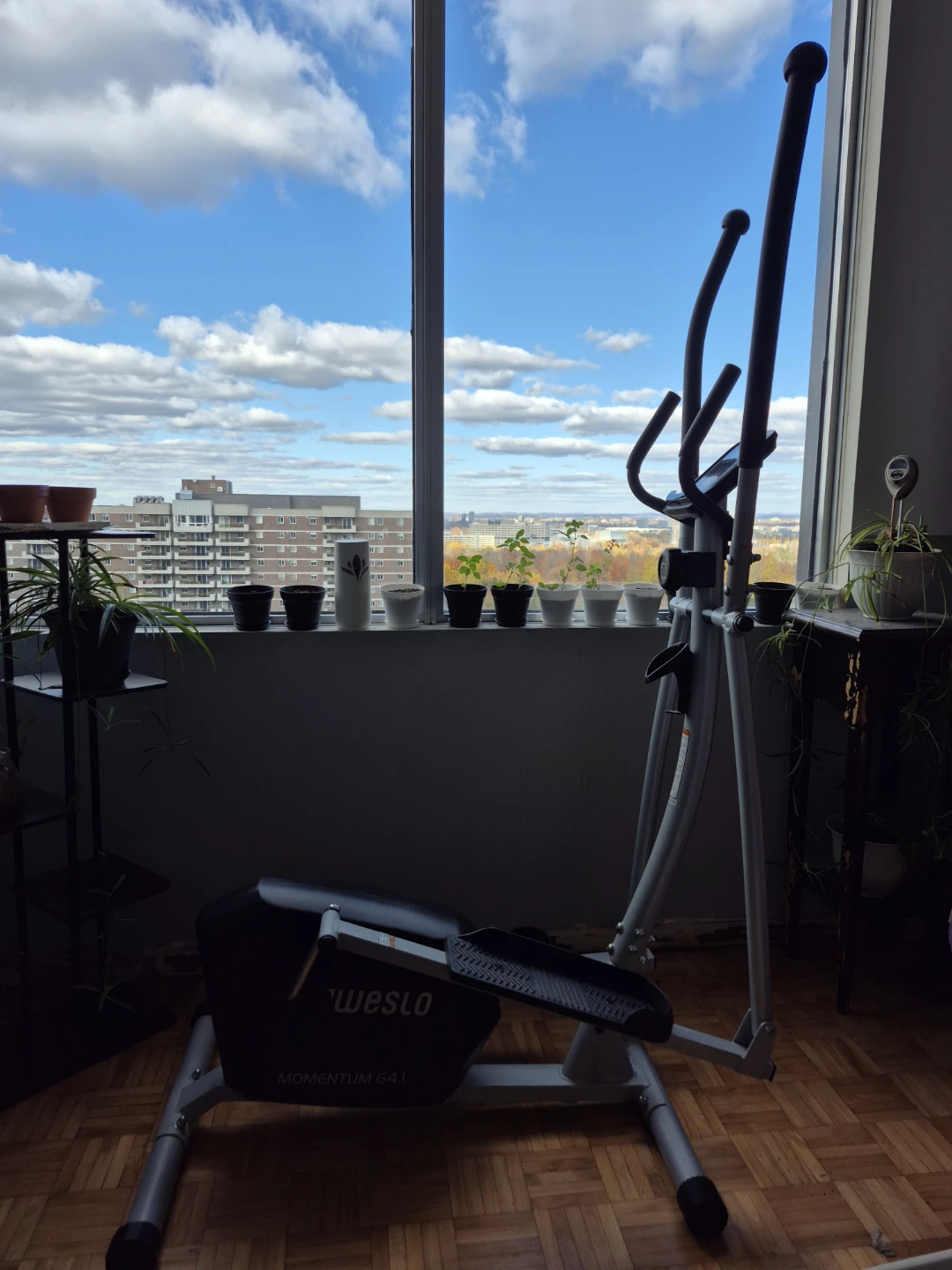 Weslo Momentum G 4.1 Elliptical Exercise Machine