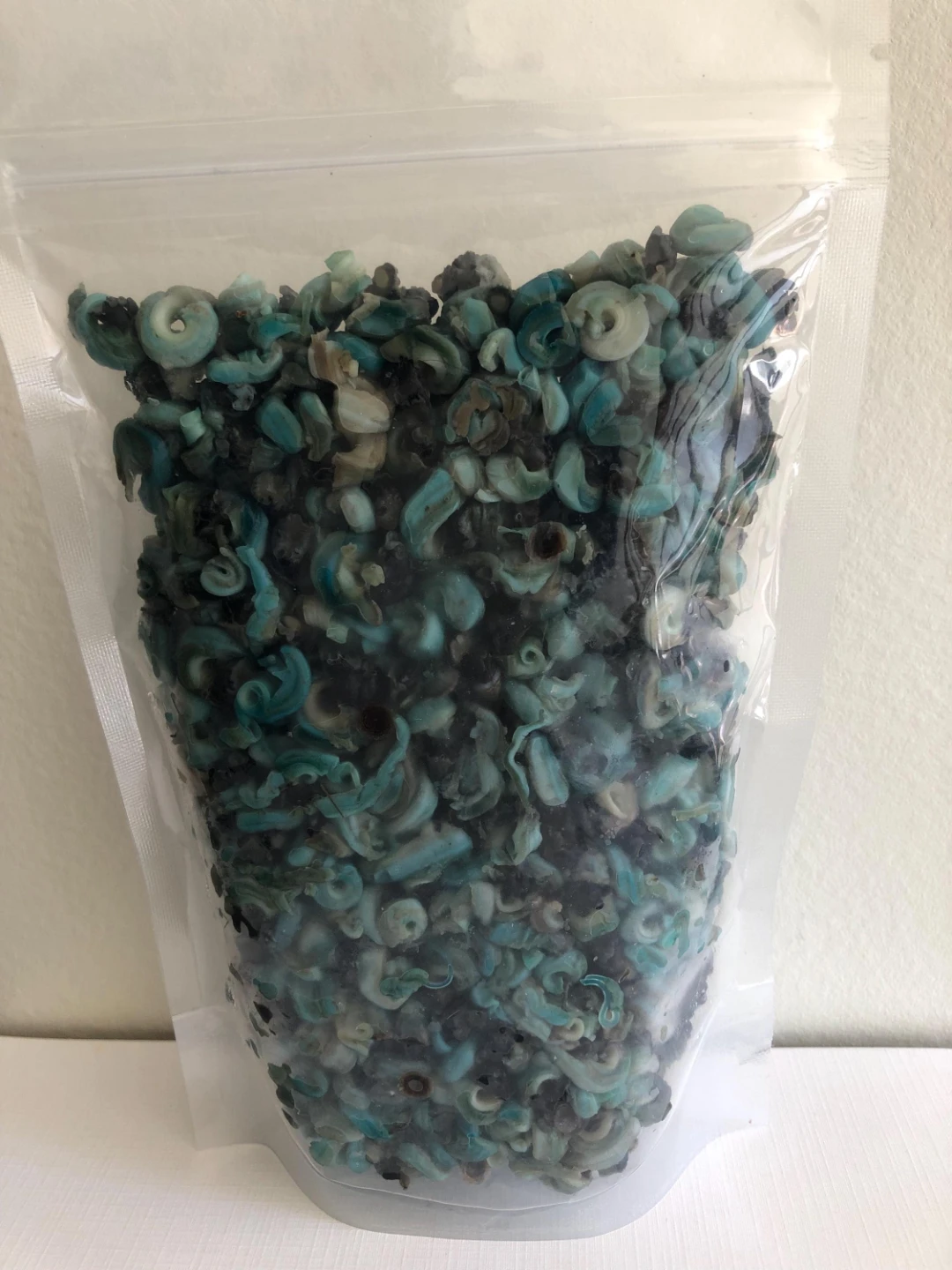 Fresh Periwinkle Snails - photo 2