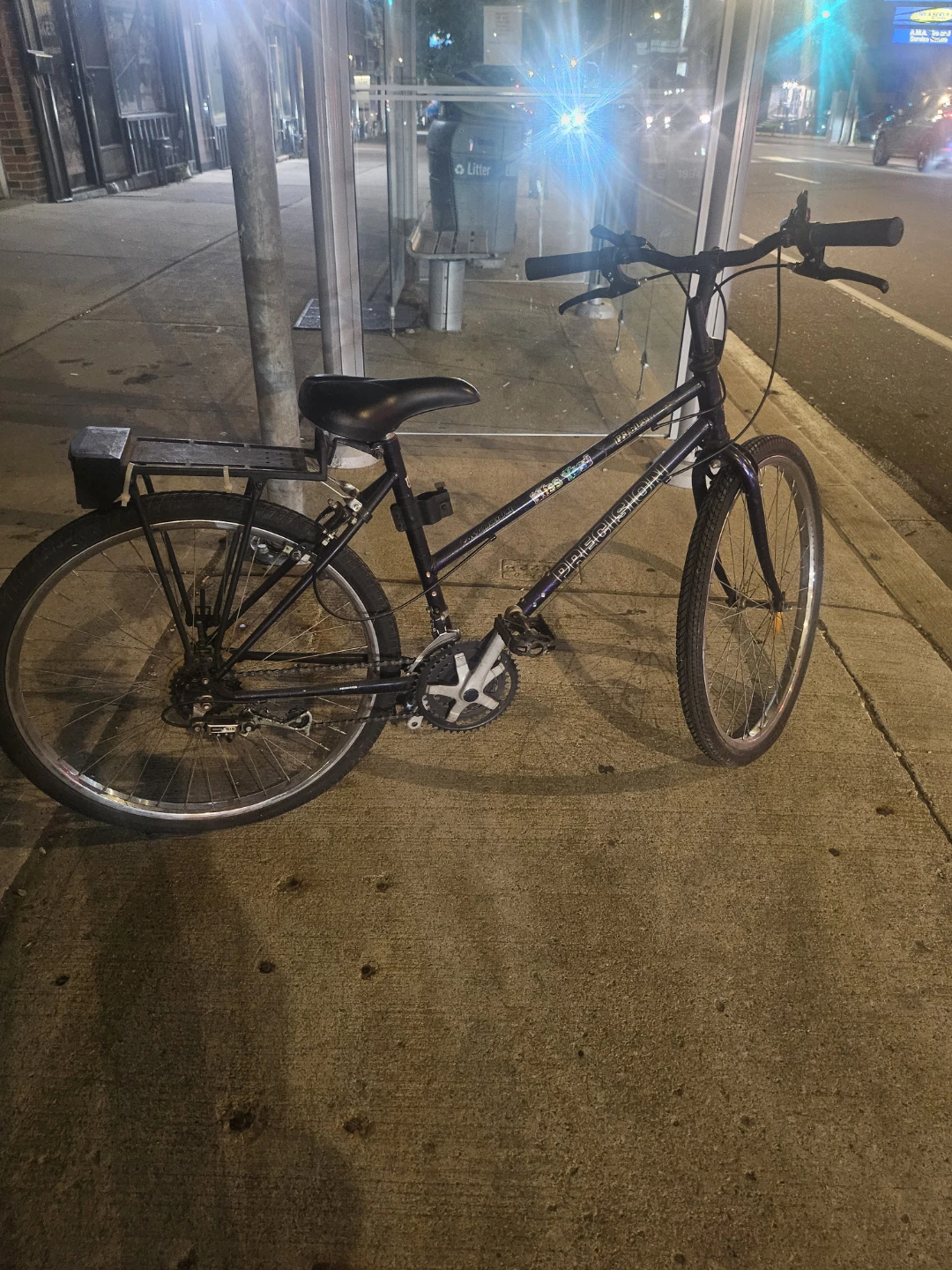 Adult Bicycle