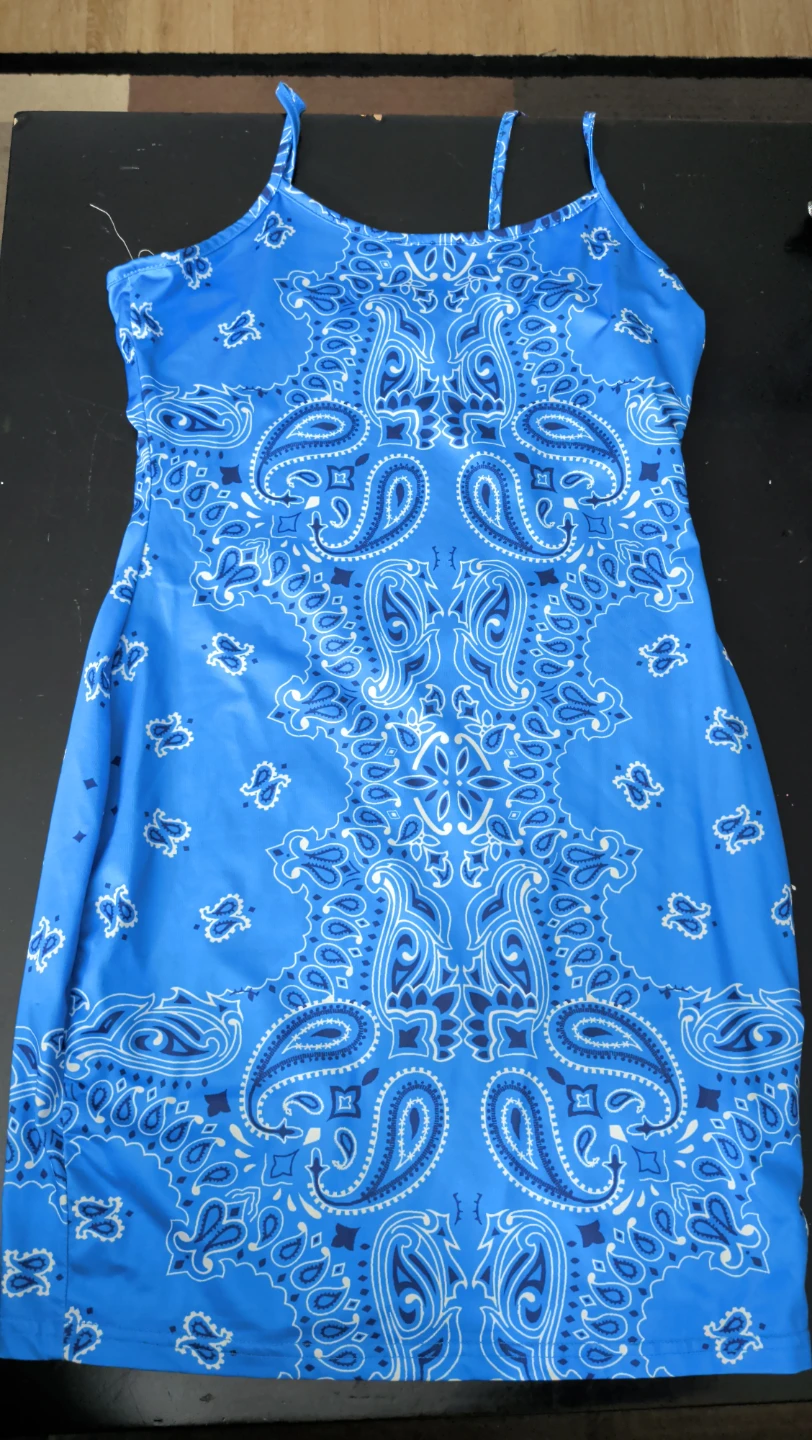 Blue Paisley Print Mini Dress