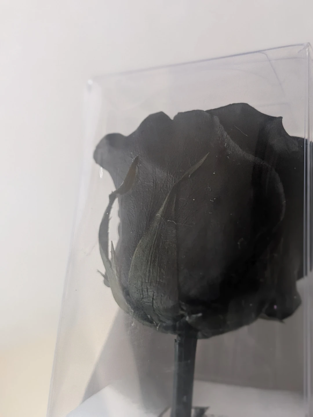 Fantasy Farms Spooky Preserved Blooms - photo 2