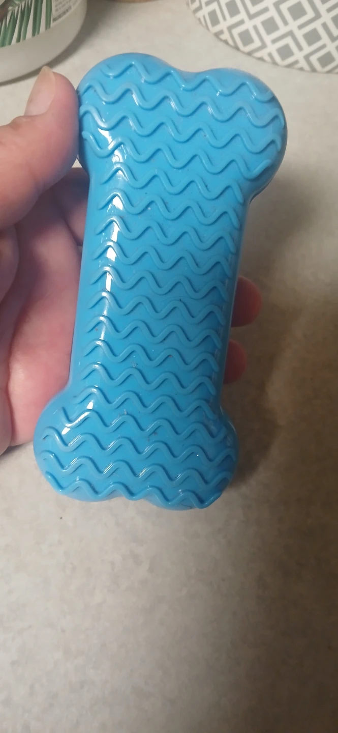 Blue Rubber Dog Chew Toy Bone