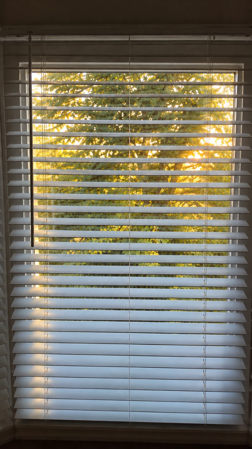 Zebra Blinds Set - photo 2