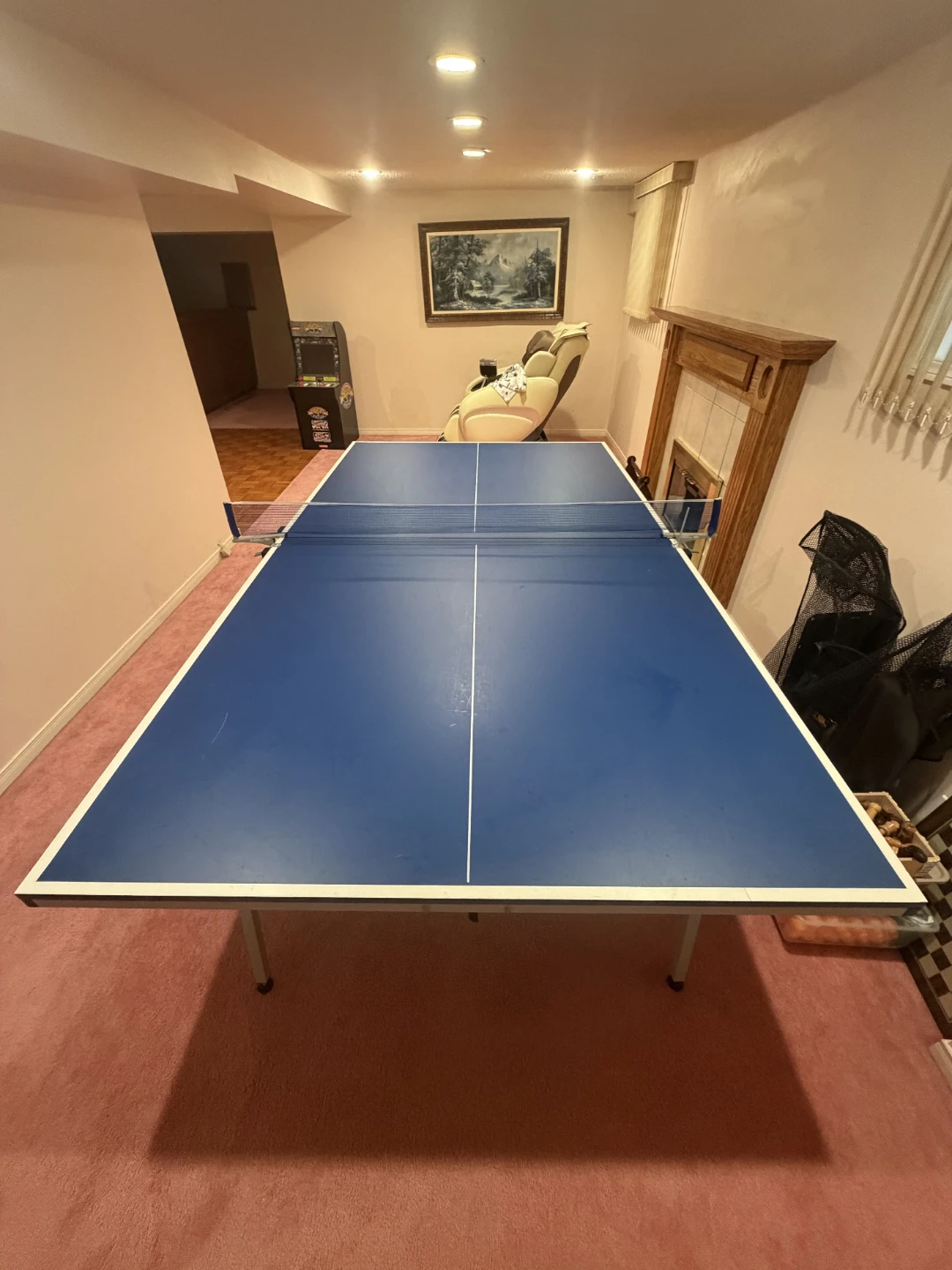 Ping Pong Table