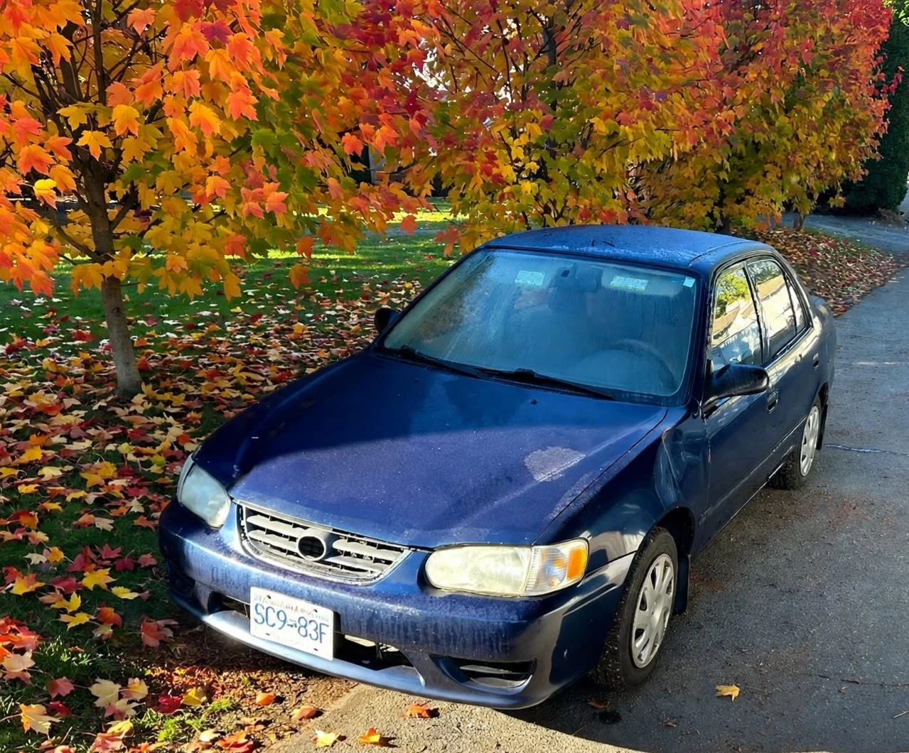 2002 Toyota Corollaq - photo 5