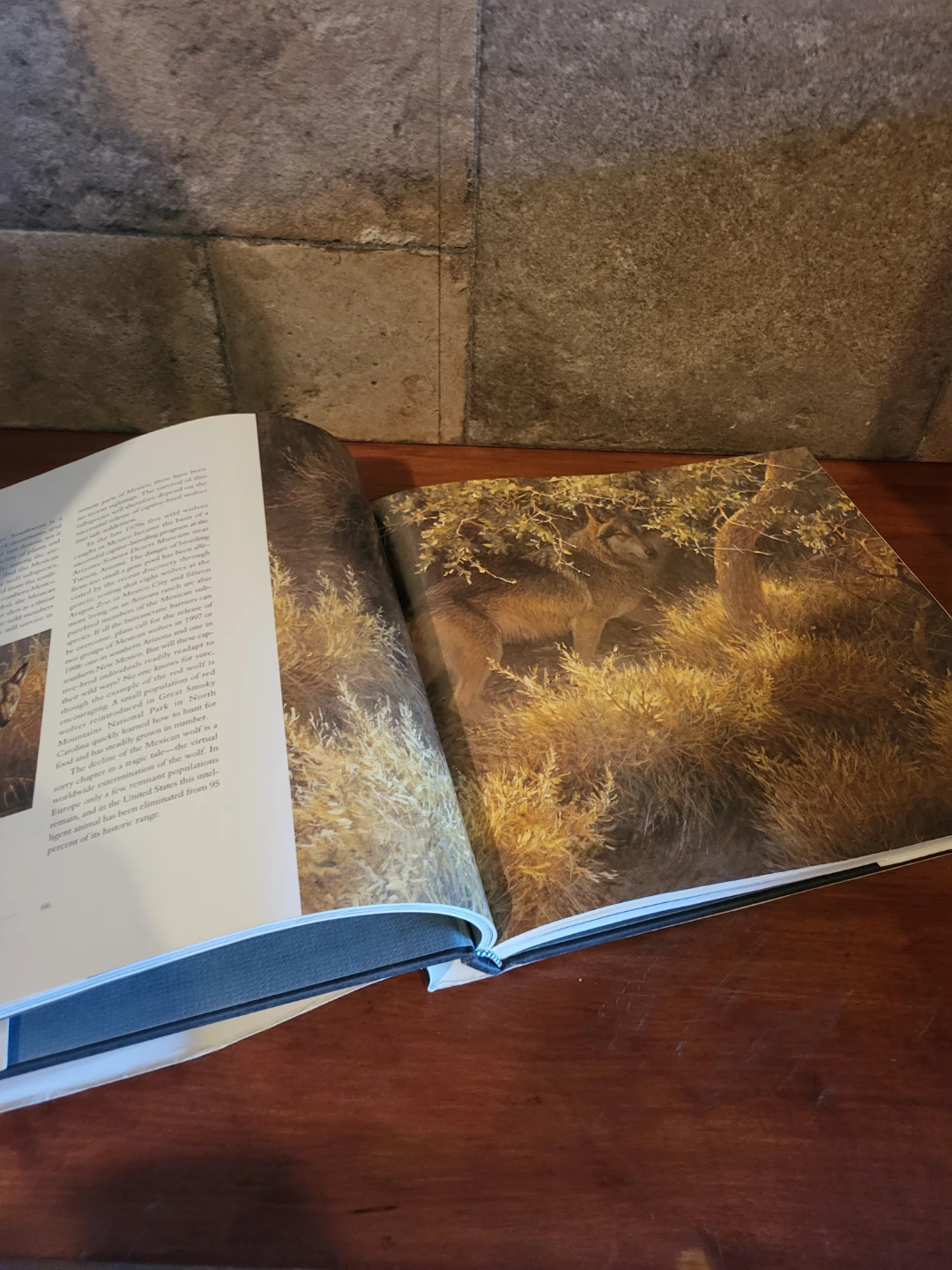 Natural Worlds by Robert Bateman - photo 3