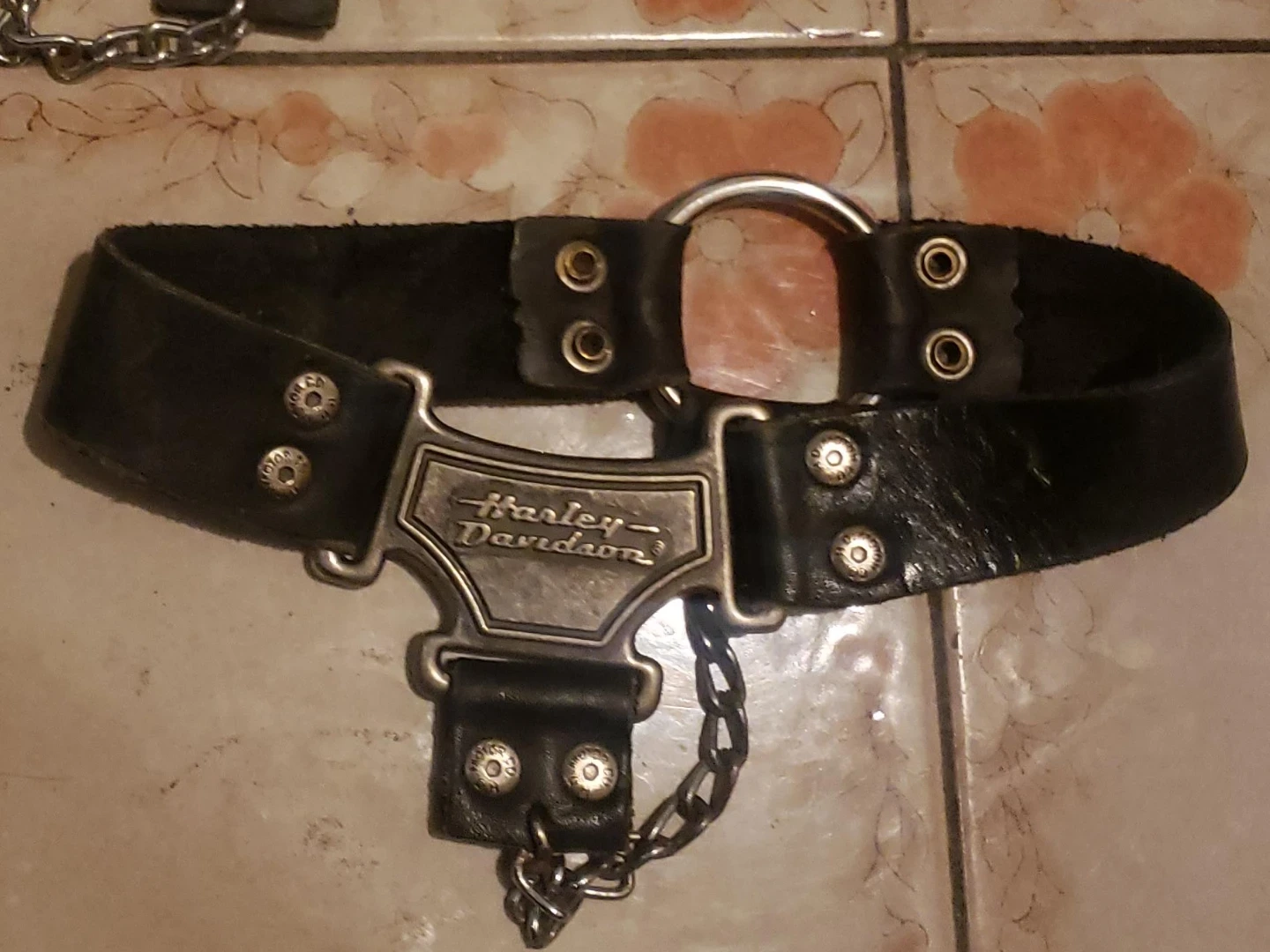 Harley-Davidson Accessories - photo 2