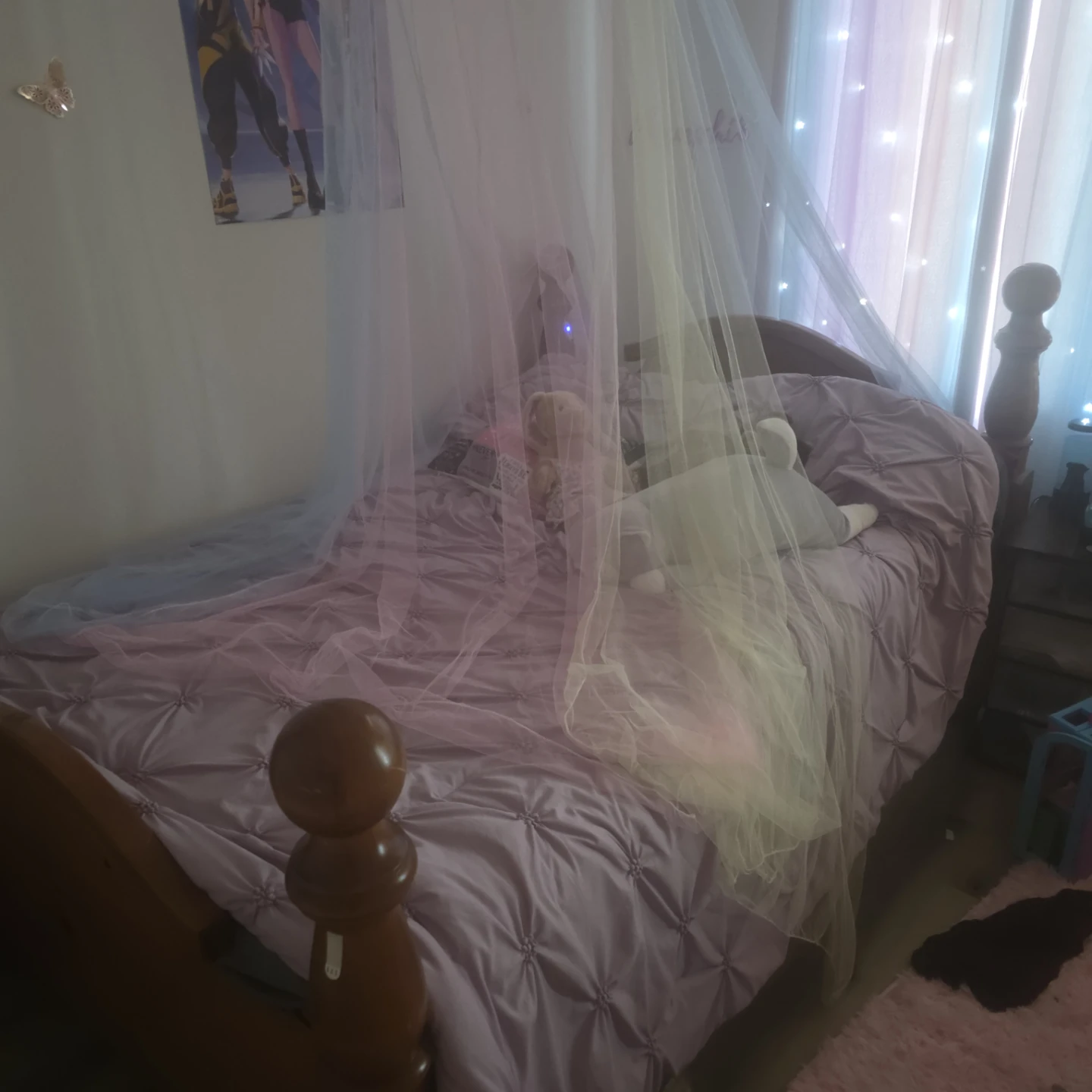 Solid wood bed frame. Twin. With rainbow canopy and mattress
