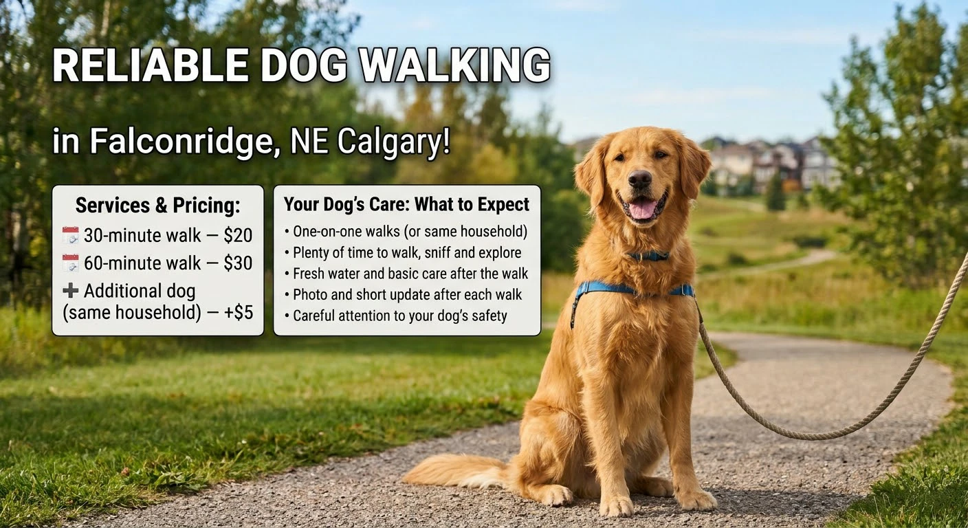 Reliable Dog Walking in Falconridge, Calgary - photo 2