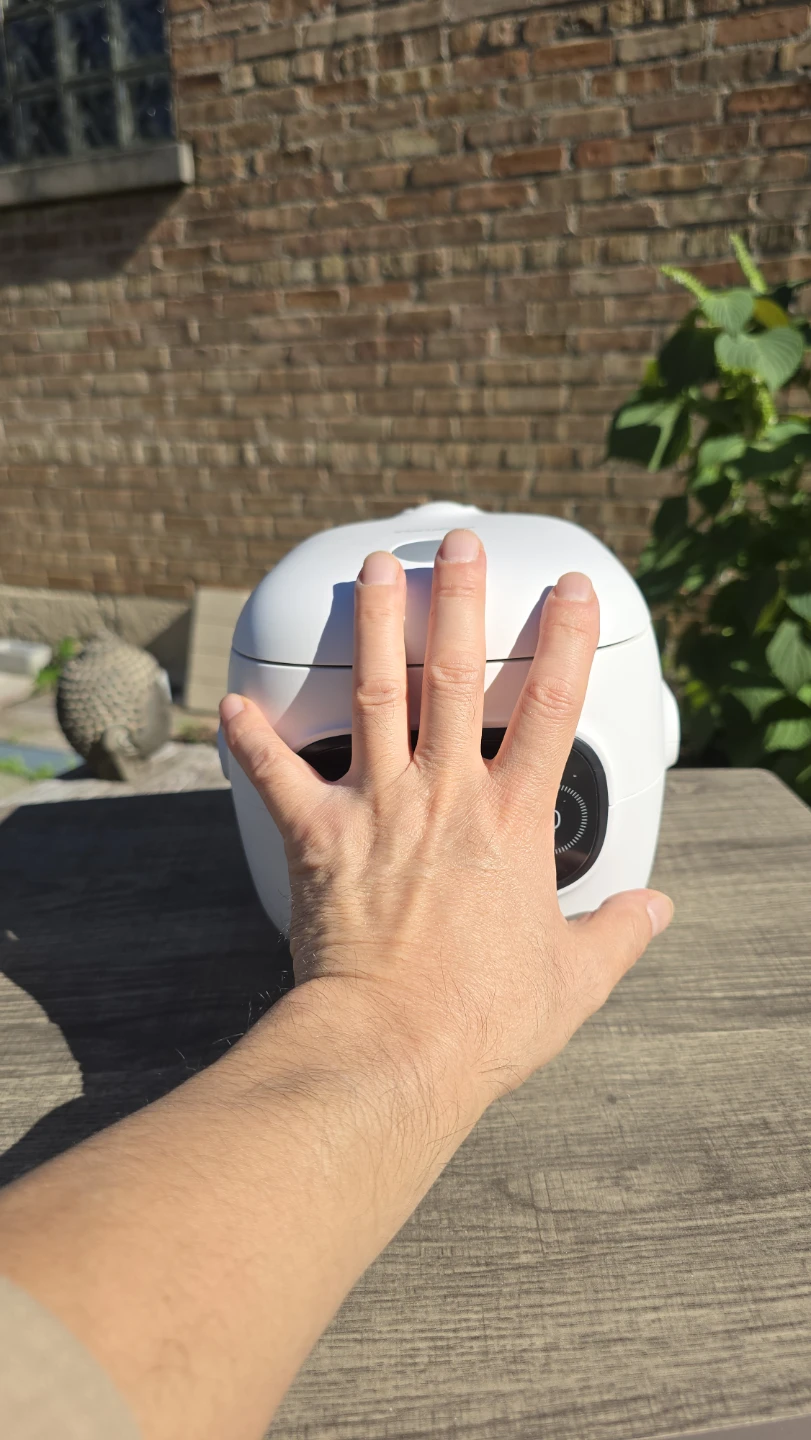 Small Rice Cooker by Comfee - Like New - photo 4