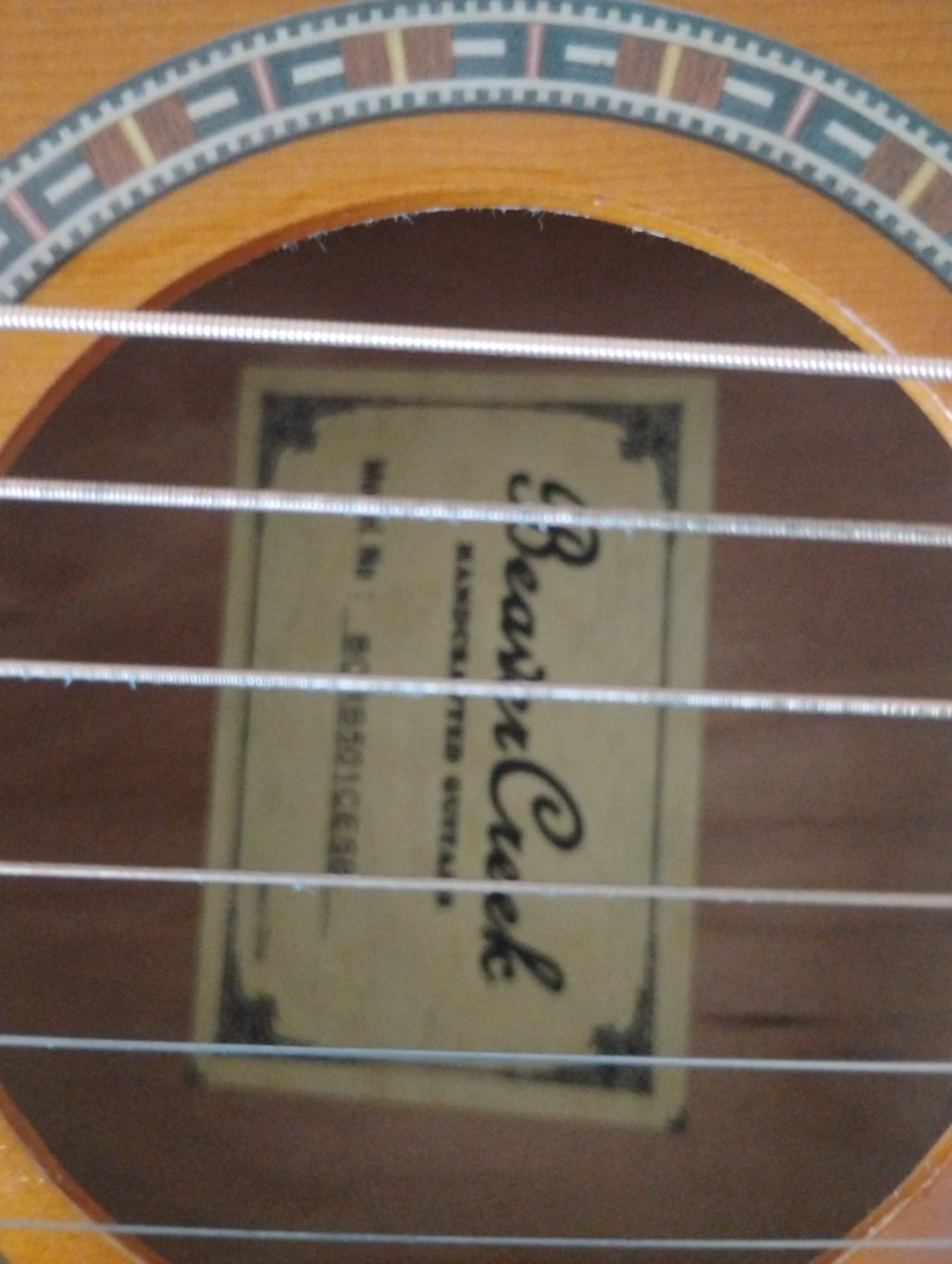 Beaver Creek Acoustic-Electric Guitar - photo 2