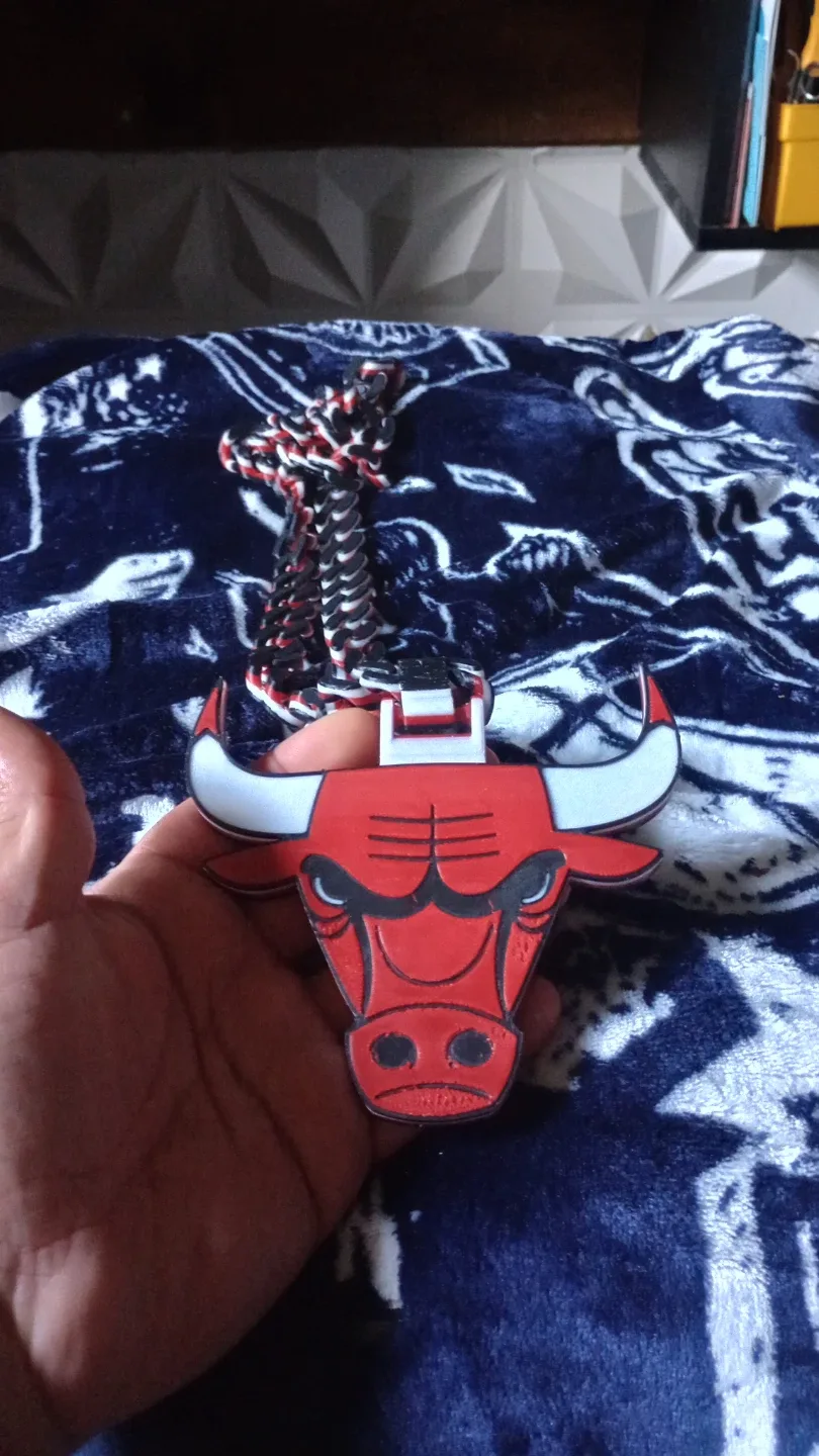 Chicago Bulls 3D Printed Chain Necklace