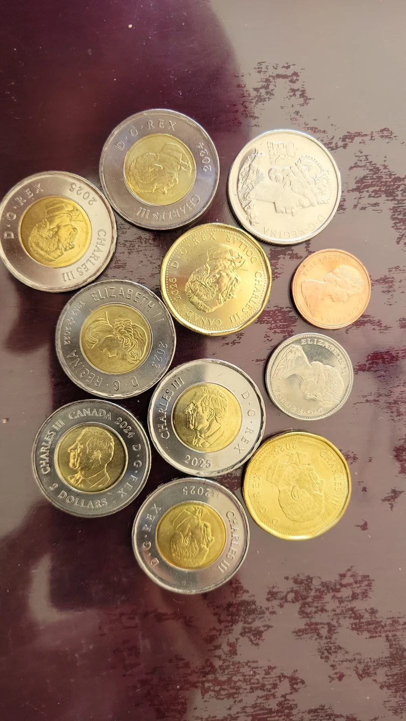Assorted Canadian Coins Collection - photo 2