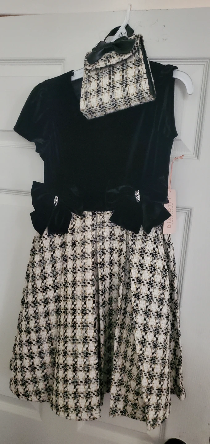 Biscotti Collezioni Dress with Matching Purse Size 10