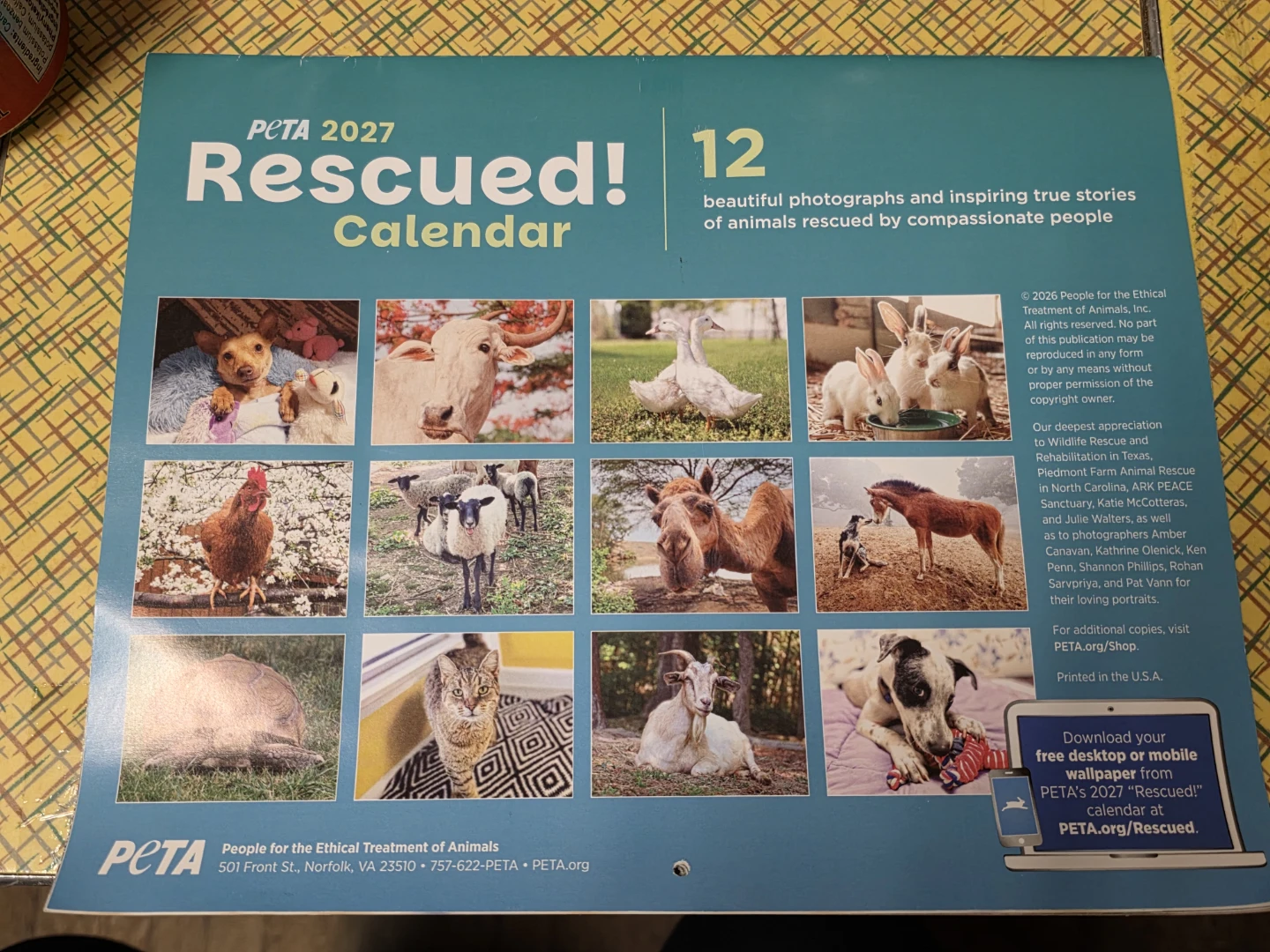 PETA 2027 Rescued! Calendar - photo 3