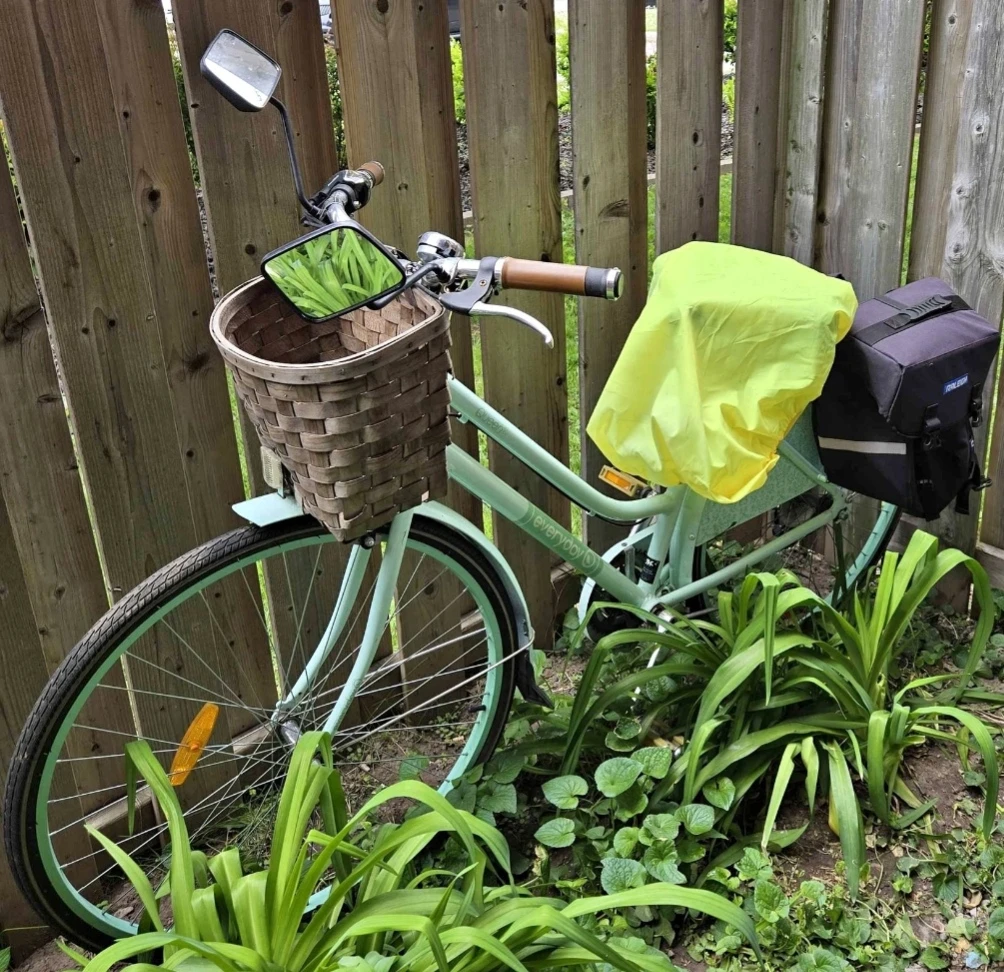 Everyday Queen St Bicycle