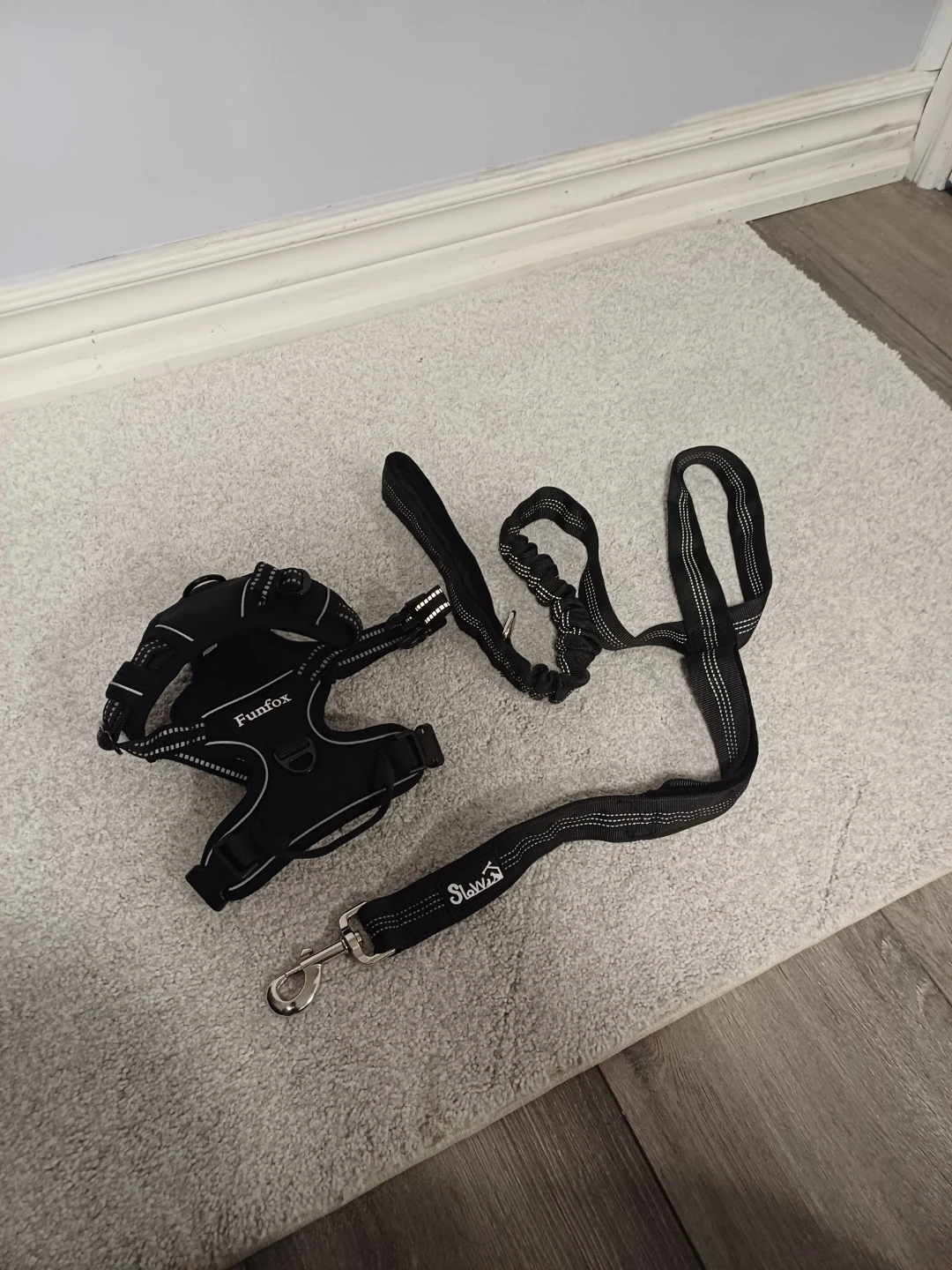 Funfox Dog Harness and Leash Set - Small - photo 4