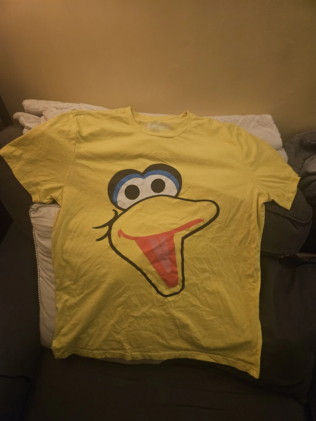 Sesame Street Big Bird Yellow T-Shirt