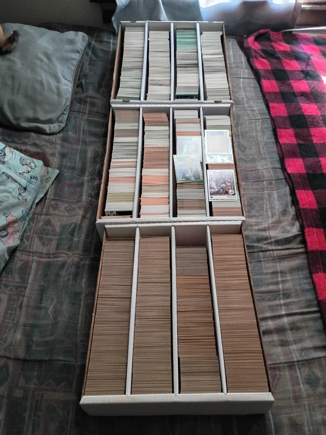 Collection of Baseball Cards in Box READ DESCRIPTION - photo 3