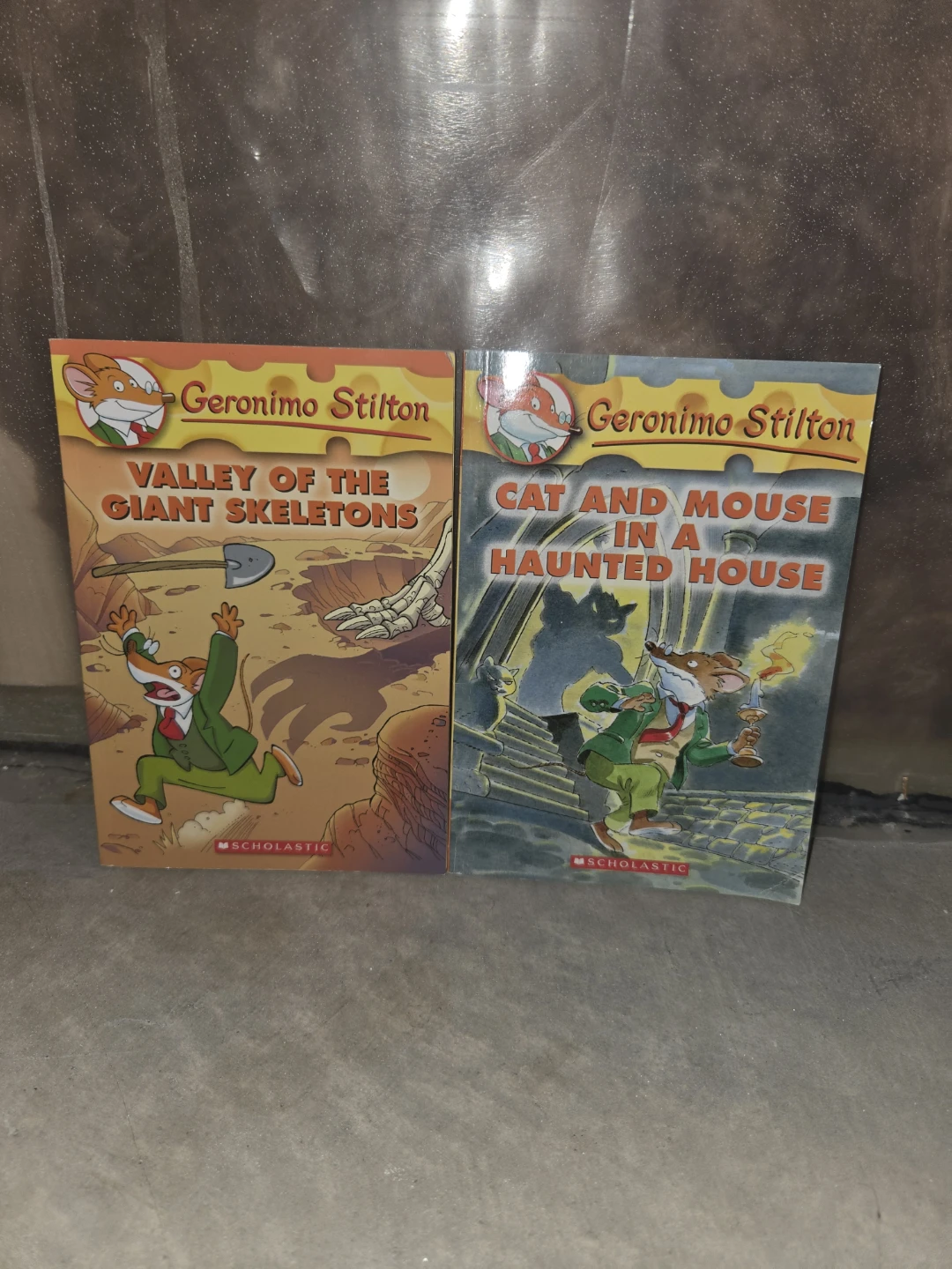 Geronimo Stilton Books - 2 Pack